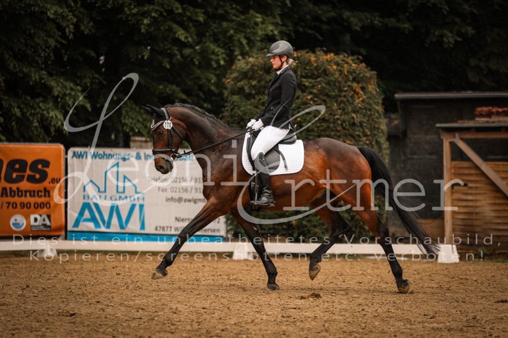 DoDrA00402 | Leoni Ertmer Photography - Realisiert mit Pictrs.com