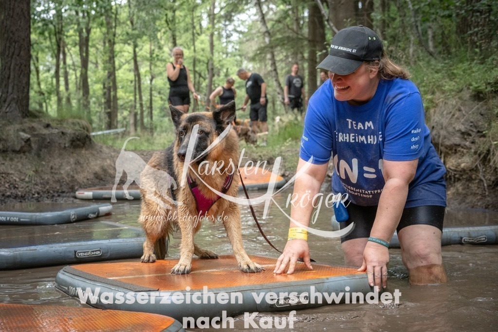1234_ZZ99938T | kk-dogfotos