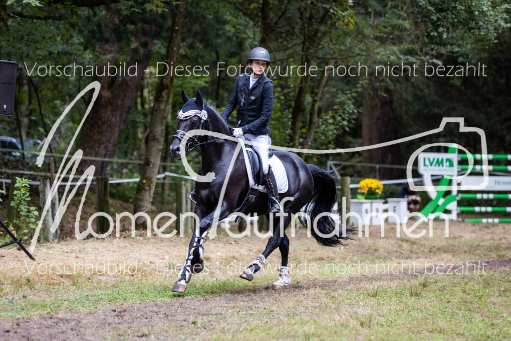 HB-Springreiter-009 | MomenTaufnahmen Pferdesportfotos