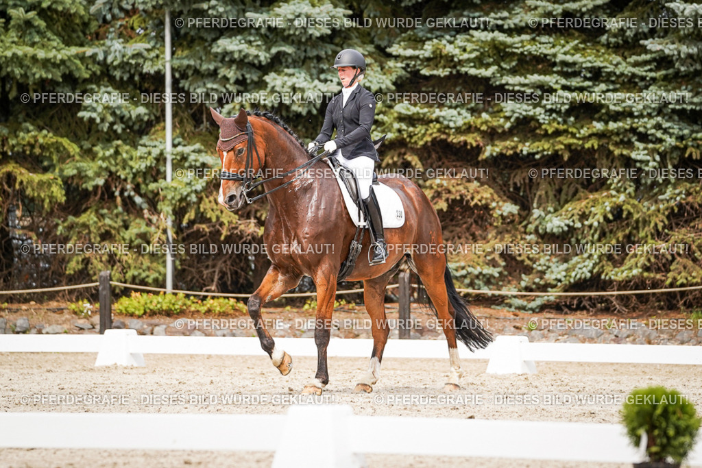 DSC06501 | Pferdegrafie