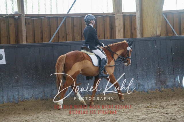 IMG_1527 | Turniersportfotografie; Pferdefotografie; Dressurfotografie