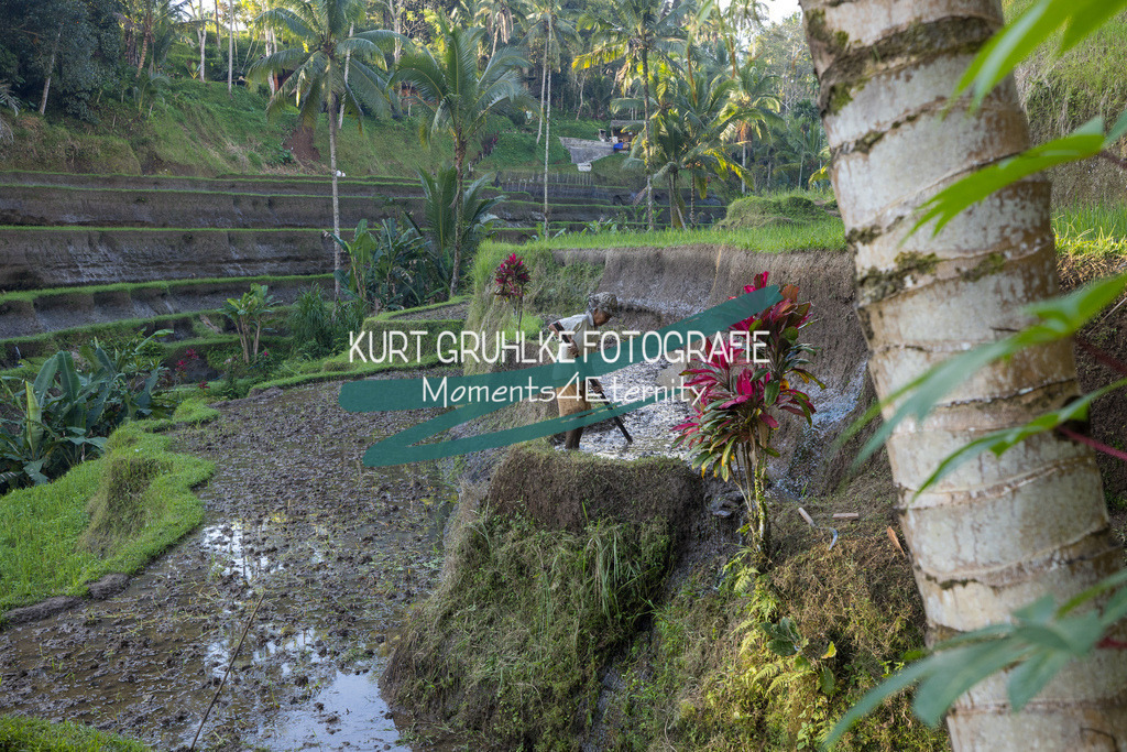 230720-1355 - Kopie | onlinegalerie und Fotoshop Kurt Gruhlke Fotograf Berlin
Hochzeitsfotograf Eventfotograf Portraitfotografie
 - Realisiert mit Pictrs.com