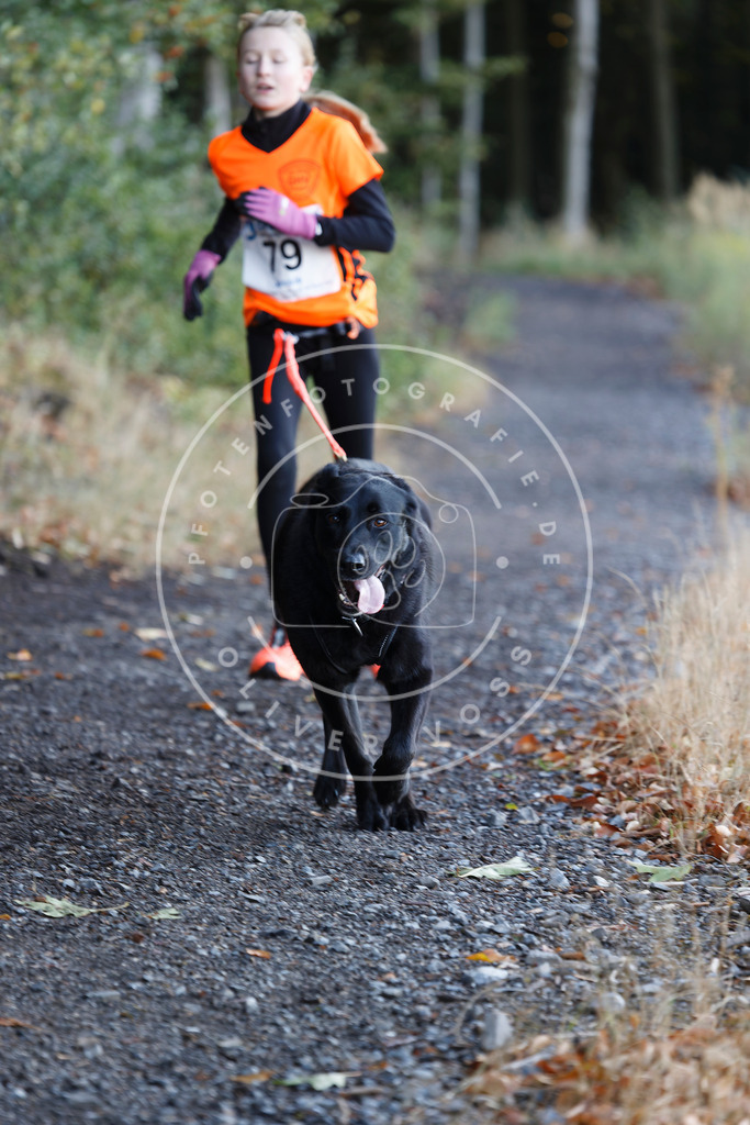 0L8A2056 | Hundefotografie, Tierfotograf, Pfotenfotografie, Fotoshooting Hund, Hunde Portrait, Hundesport, Hundeportraits, Heideshooting, Hunde, Sportfotograf, Hundefotograf, Turnierhundsport, THS,  - Realisiert mit Pictrs.com