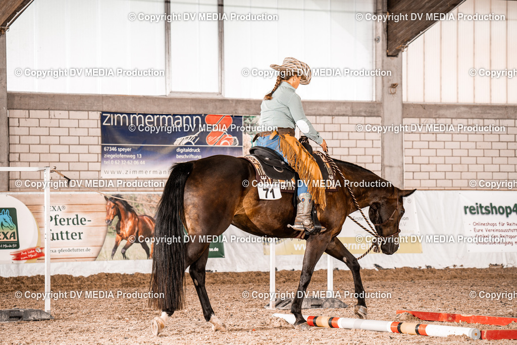 ZH300184 | dv-media-shop - Realisiert mit Pictrs.com
