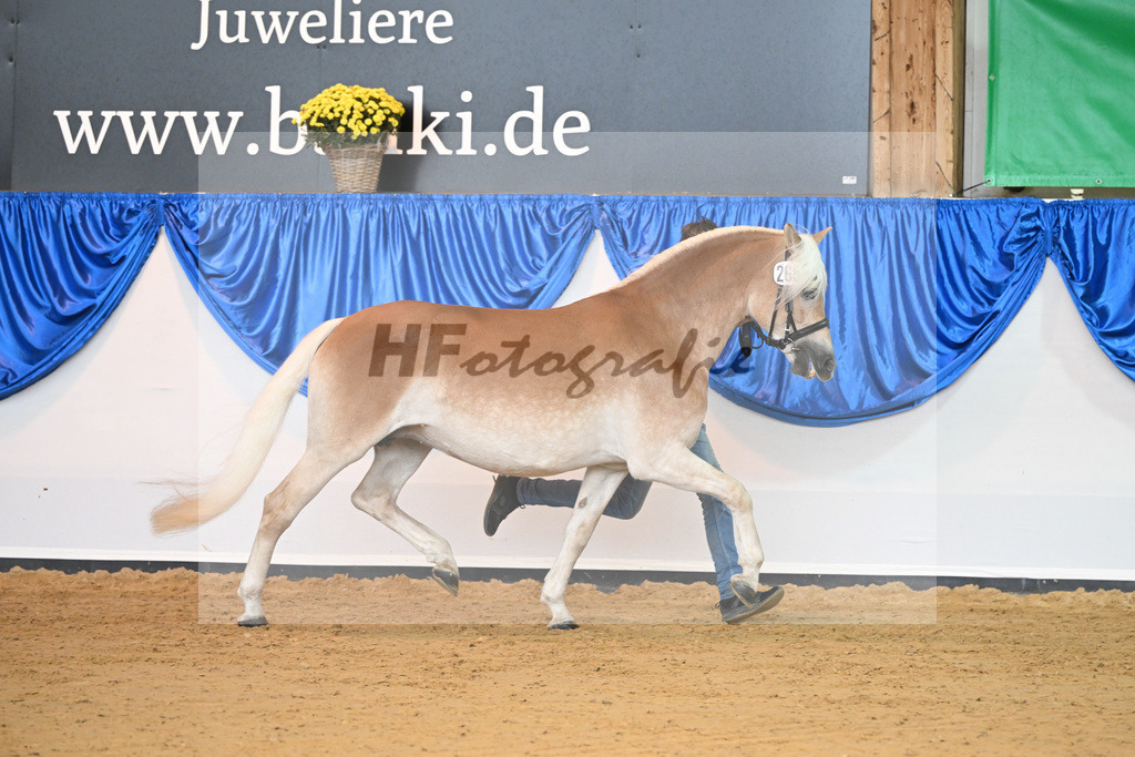 Kat-Nr. 265 Aurora_Stange_54223170 | hf-fotografie - Realisiert mit Pictrs.com