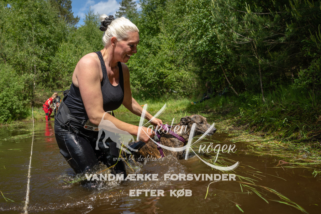 1211DKK992137 | kk-dogfotos