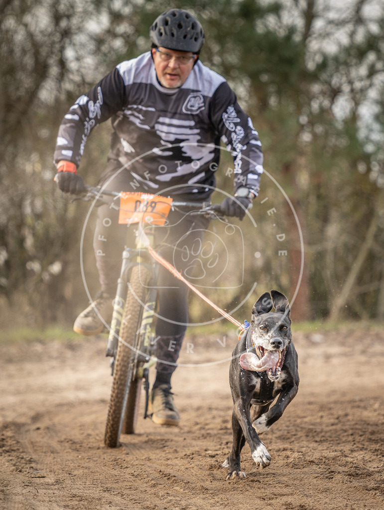 Pfotenfotografie_DV3A8168 | Hundefotografie, Tierfotograf, Pfotenfotografie, Fotoshooting Hund, Hunde Portrait, Hundesport, Hundeportraits, Heideshooting, Hunde, Sportfotograf, Hundefotograf, Turnierhundsport, THS,  - Realisiert mit Pictrs.com