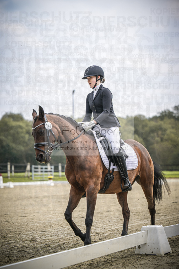 DOS_B463 | Entdecke hochwertige Reitturnierfotos von Foto Oger. Professionell, emotional und authentisch – jetzt Lieblingsmomente im Shop bestellen.Deutschlandweite Turnierfotografie. - Realisiert mit Pictrs.com