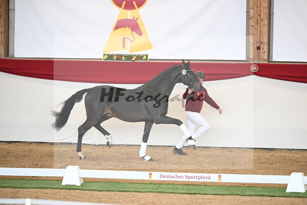Kat.-Nr. 75 v. Santos_Greim_2250823 | hf-fotografie - Realisiert mit Pictrs.com
