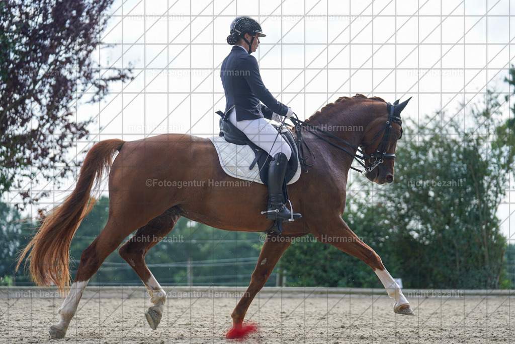 20230826-FAH06090 | Forstinning, 2023, Dressurturnier, Turniersportbilder, Turnierfotografen Bayern, Fotoagentur Herrmann, Reitsportfotografie, Turnierbilder