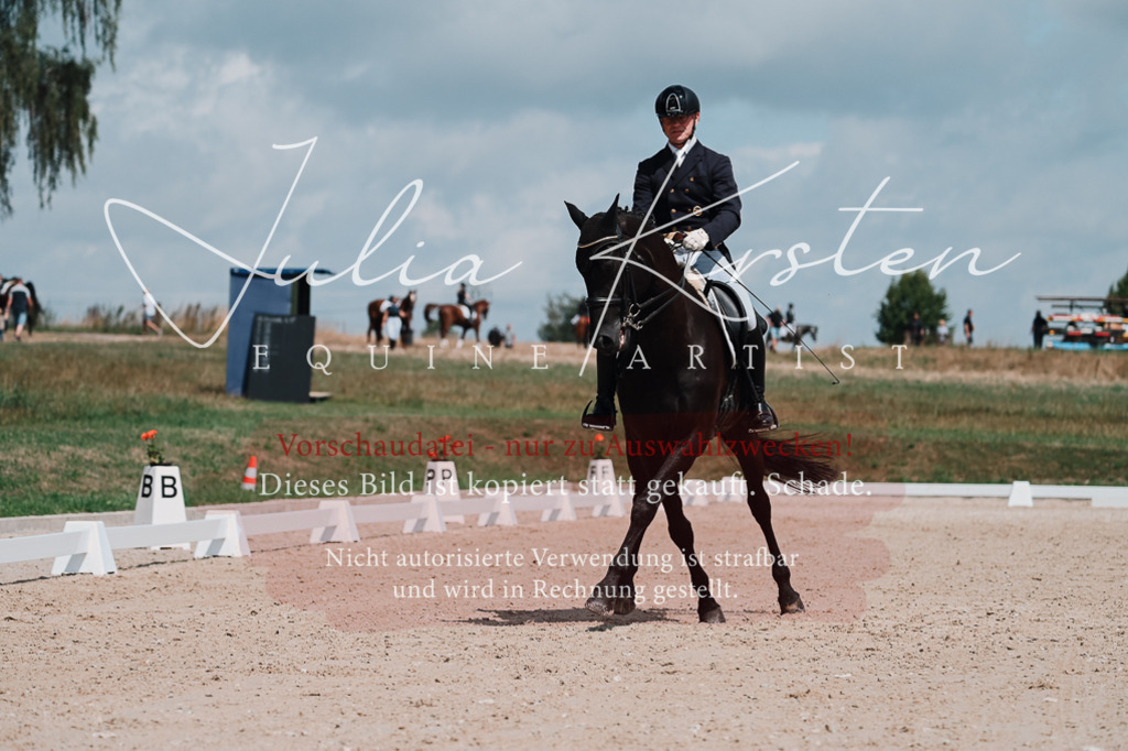 DSC_3991 | Pferde- und Turnierfotografie in Westsachsen. Pferdeportraits, Auftragszeichnungen und intuitive Kunst.