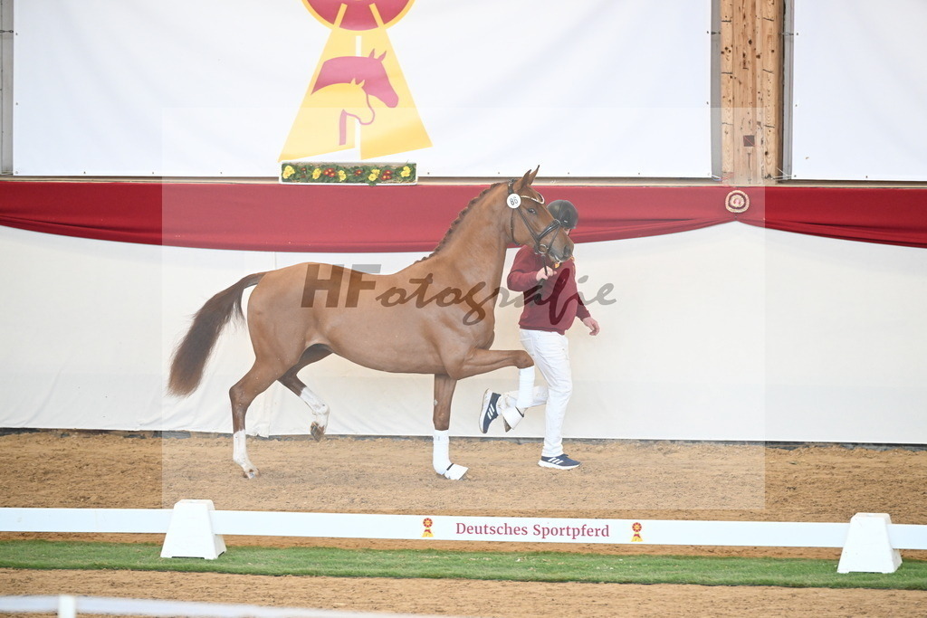 Kat.-Nr. 86 v. Vitalis_Bachinger_2250857 | hf-fotografie - Realisiert mit Pictrs.com