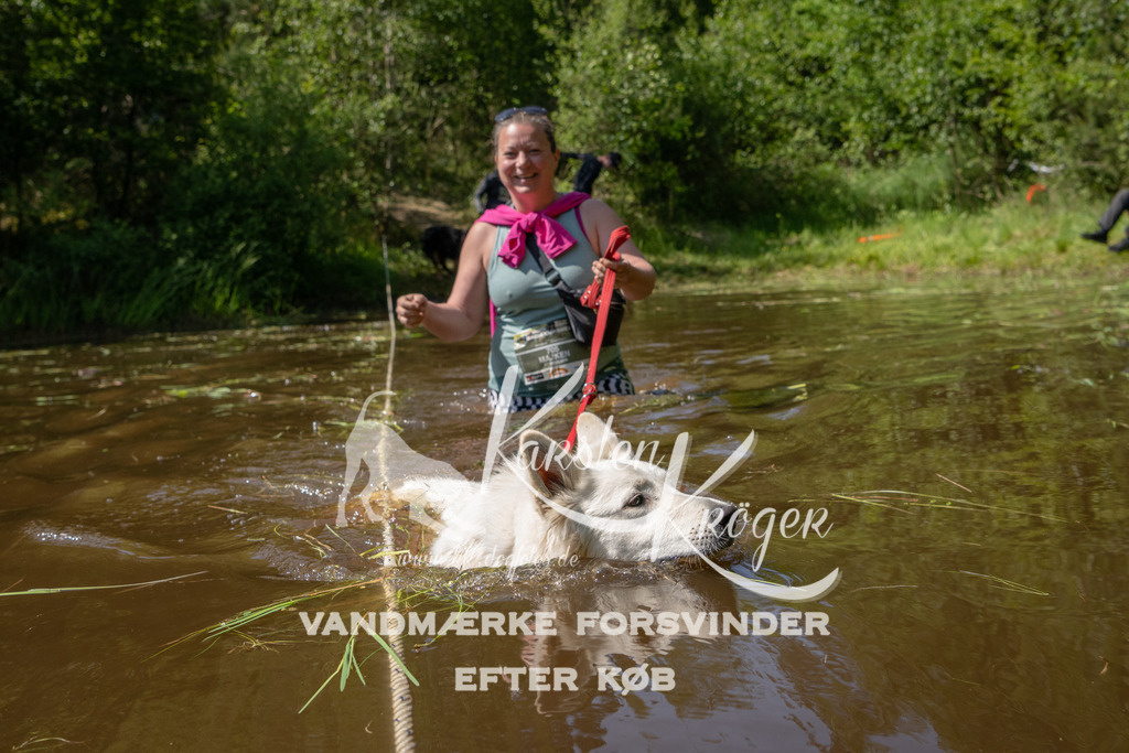 1525DKK993253 | kk-dogfotos