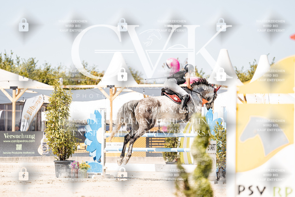CK909687 | Turnierfotografie Pferdefotografie Trier Rheinland-Pfalz Pferdesport Reitsport Tierfotografie Sportfotografie Pferdevideo Pferdevideografie Equestrianvideography equestrianphotography  - Realisiert mit Pictrs.com