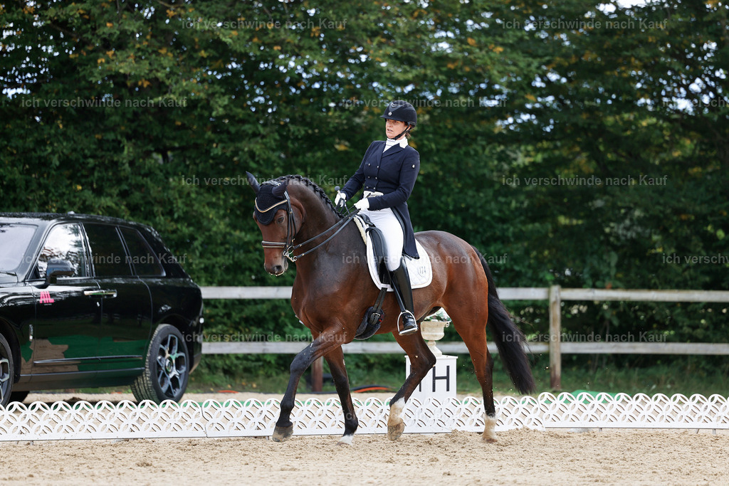 6-174-AMATUER-DRESSUR S_  -StoibPH-3483 | working equitationturnier fotograf videograf stoibphotography marixx film working equitation deutschland reitsport turnierfotografie eventfotografie equestrian events
