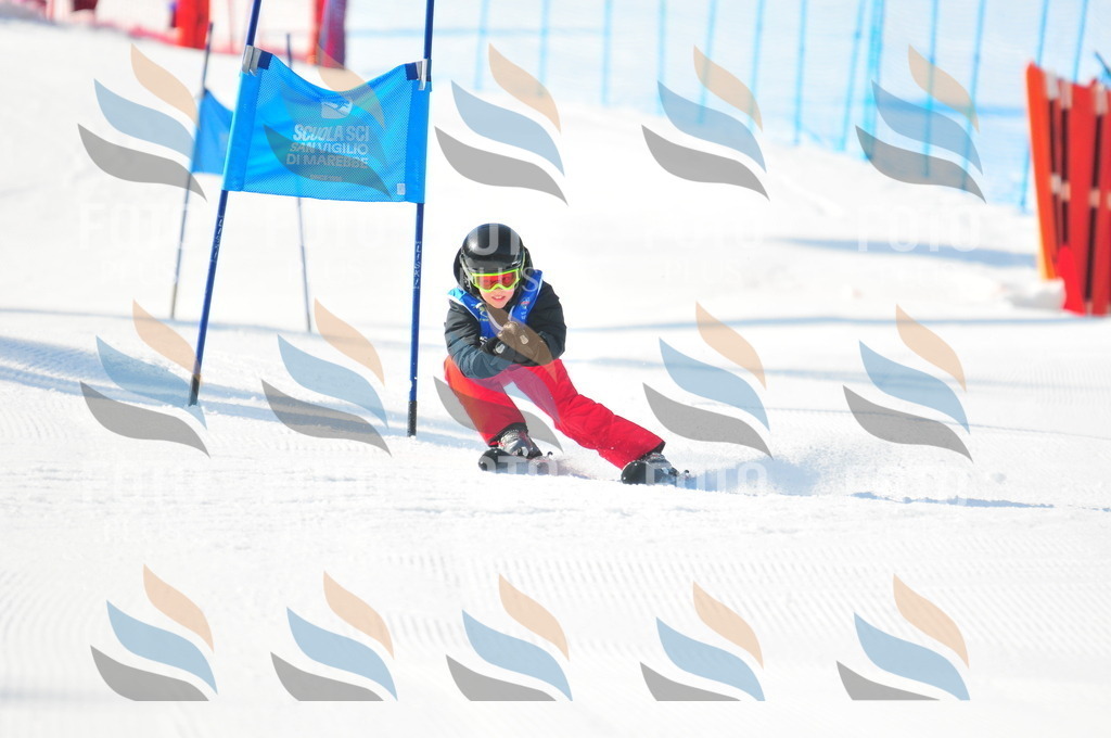 B8810 | holidayphoto