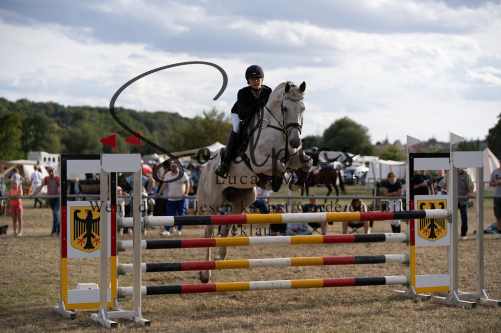 A7V09791 | Pferdefotograf