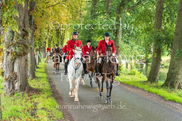 Jagd Kletkamp 26-9560_MarinaHewig | Fotografie, FotoArt, PferdesportArt, Pferdesportfotografie, Landschaftsfotografie, Reisefotografie, Reise, Pferde - Realisiert mit Pictrs.com