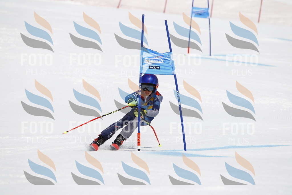 _U3G5495 | holidayphoto