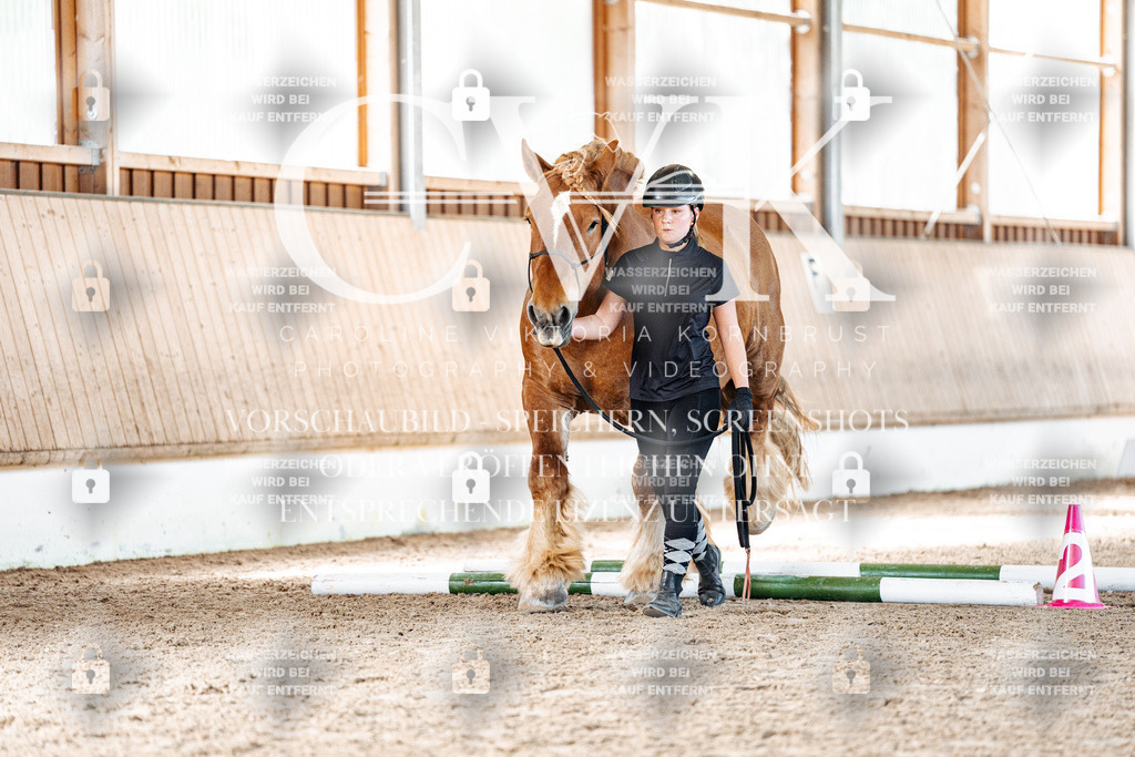 CK906328 | Turnierfotografie Pferdefotografie Trier Rheinland-Pfalz Pferdesport Reitsport Tierfotografie Sportfotografie Pferdevideo Pferdevideografie Equestrianvideography equestrianphotography  - Realisiert mit Pictrs.com