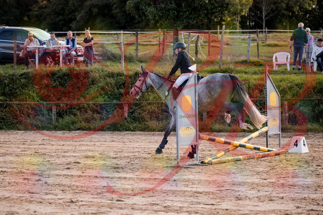 2026_10_03_Siefer-Hof_145113_Z81_30005077 | Professionelle Reitsport-, Turnier- und Eventfotografie von Robert Broda. Galerien mit ausgewählten und bearbeiteten Bildern direkt online ansehen und bestellen.