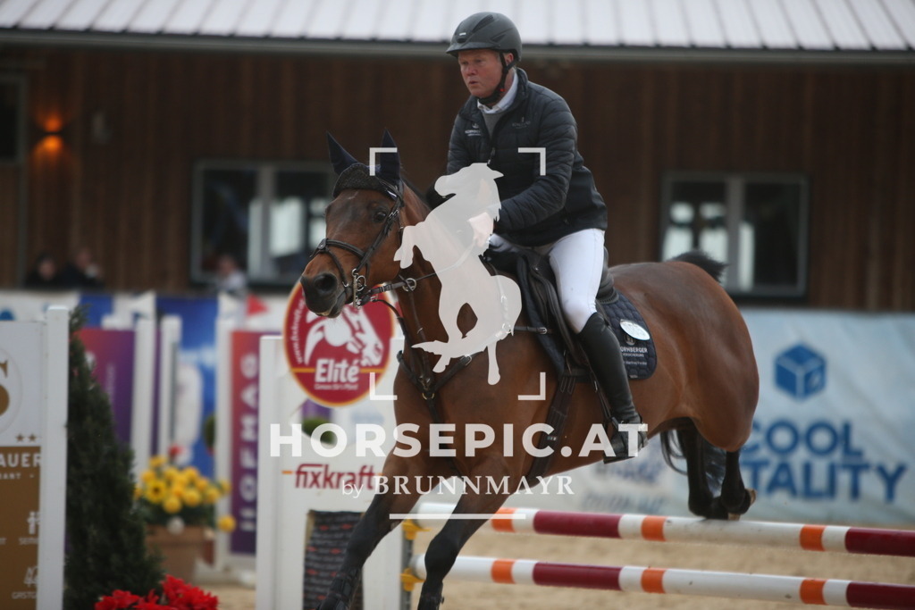 AS8V0525 | Willkommen bei Brunnmayr - Design & Fotografie – Ihrem Spezialisten für Reitturniere und Pferdeveranstaltungen in Oberösterreich, Salzburg und Bayern! Seit über 17 Jahren sind wir leidenschaftlich dabei.