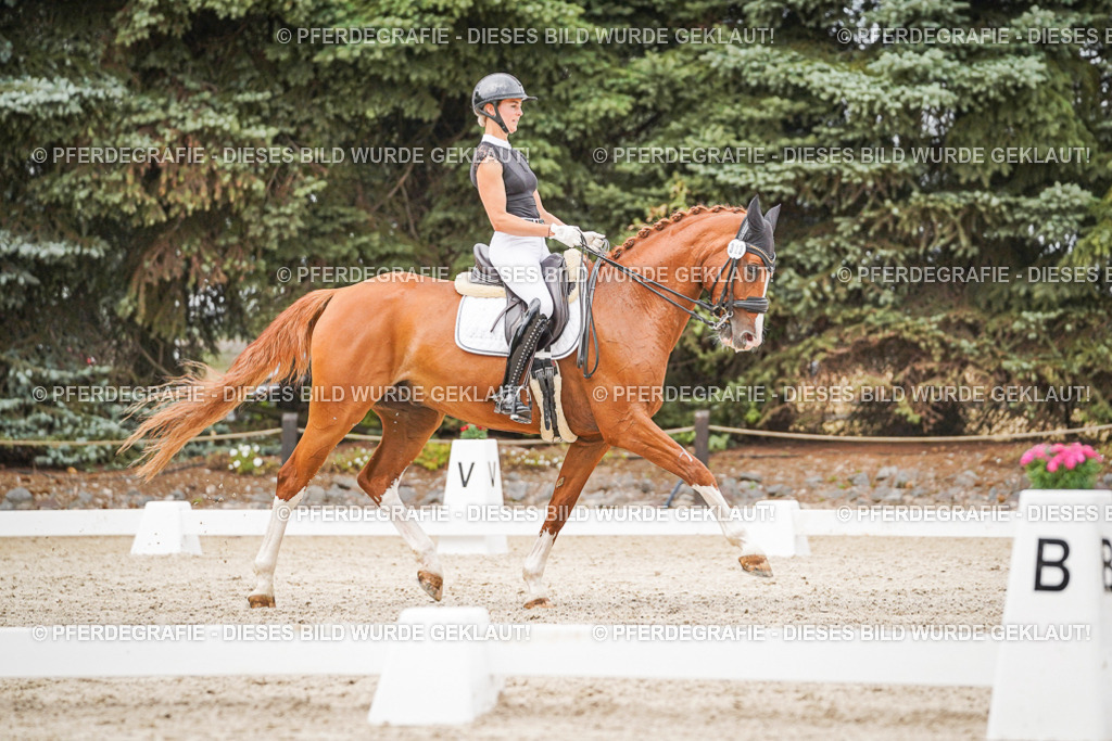 DSC07997 | Pferdegrafie