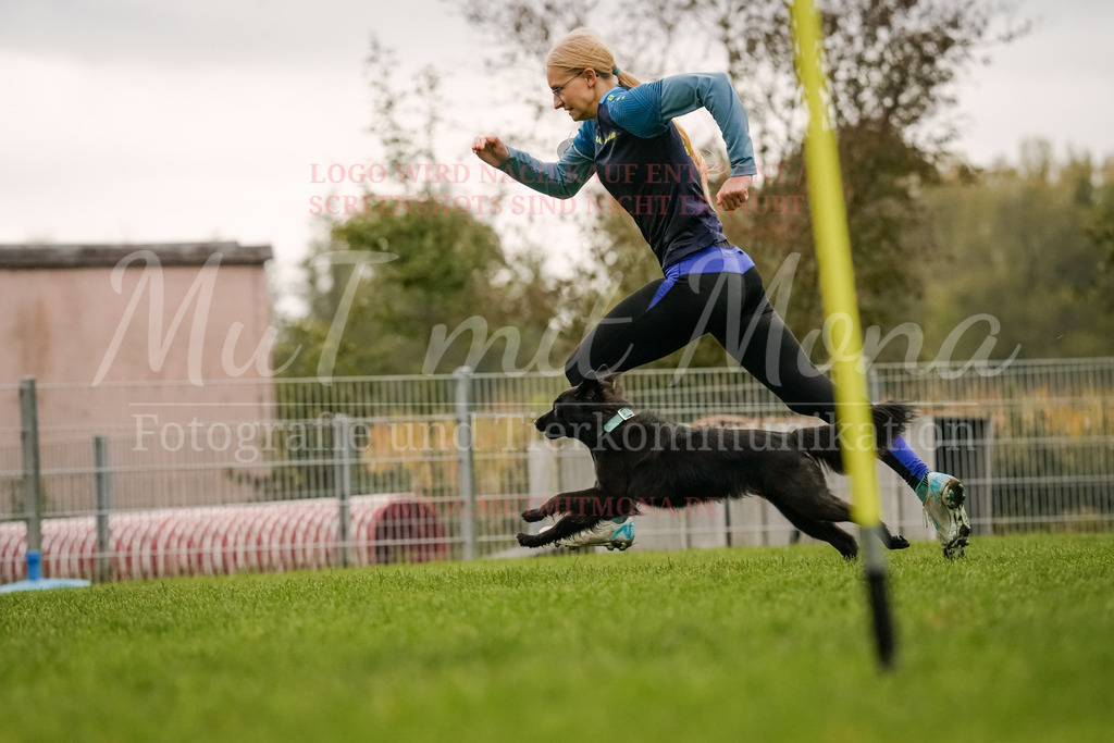 20251005_THS_Turnier-428 | MuT (Mensch und Tier) mit Mona - Fotografie und Tierkommunikation - Realisiert mit Pictrs.com