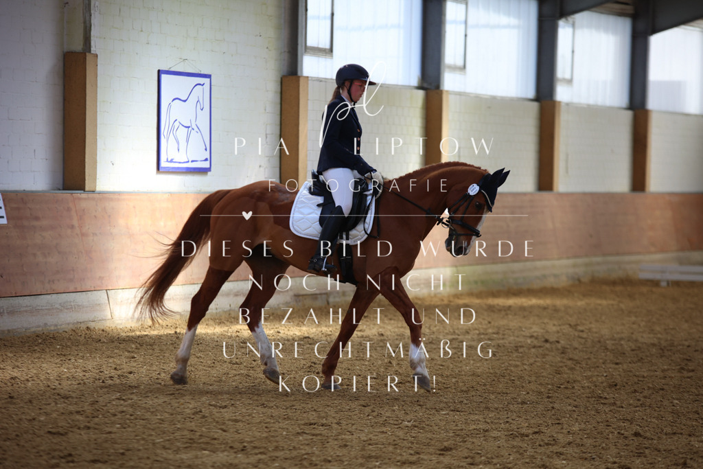 IMGT3921 | pl-fotografie