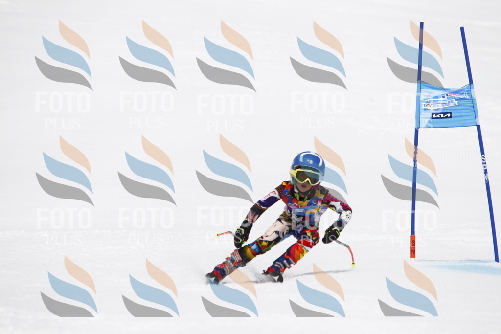 _U3G7162 | holidayphoto