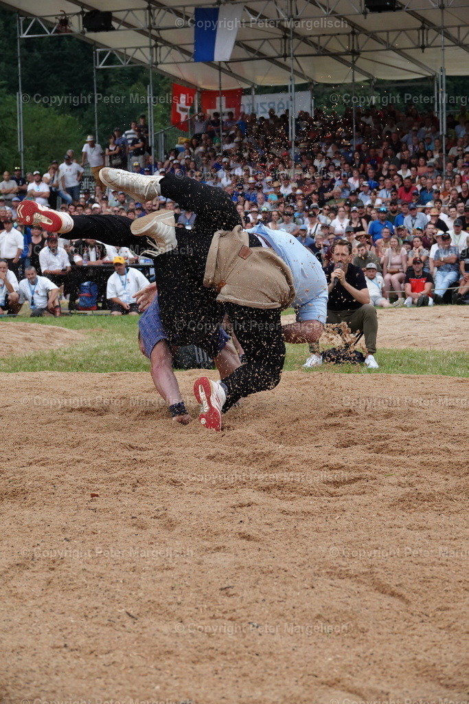 DSC01342 | Schwingen - Realisiert mit Pictrs.com