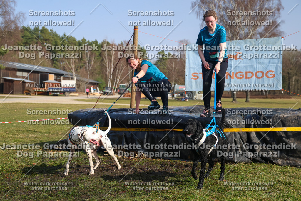 Dog Paparazzi - Strongdog North Mrz26-2525 | Dog Paparazzi Jeanette Grottendiek Fotografie & Videografie - Realisiert mit Pictrs.com