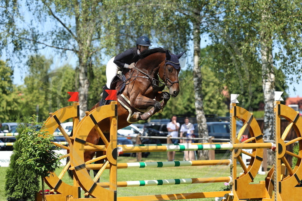 994A2862 | sabrinanicolaifotografie - Realisiert mit Pictrs.com