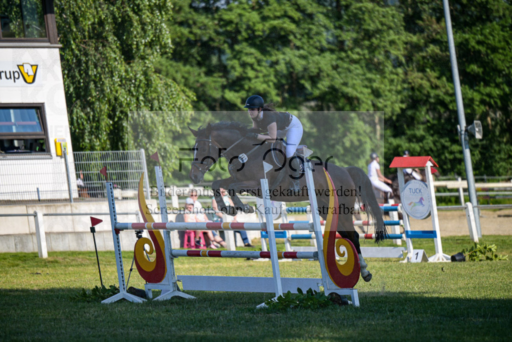 Reitturnier Voxtrup | Entdecke hochwertige Reitturnierfotos von Foto Oger. Professionell, emotional und authentisch – jetzt Lieblingsmomente im Shop bestellen.Deutschlandweite Turnierfotografie. - Realisiert mit Pictrs.com