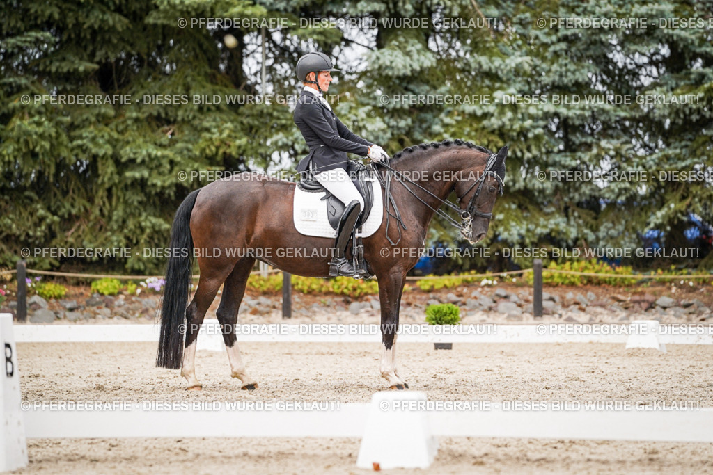 DSC07571 | Pferdegrafie