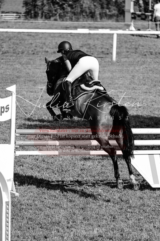 DSC_2136 | Pferde- und Turnierfotografie in Westsachsen. Pferdeportraits, Auftragszeichnungen und intuitive Kunst.