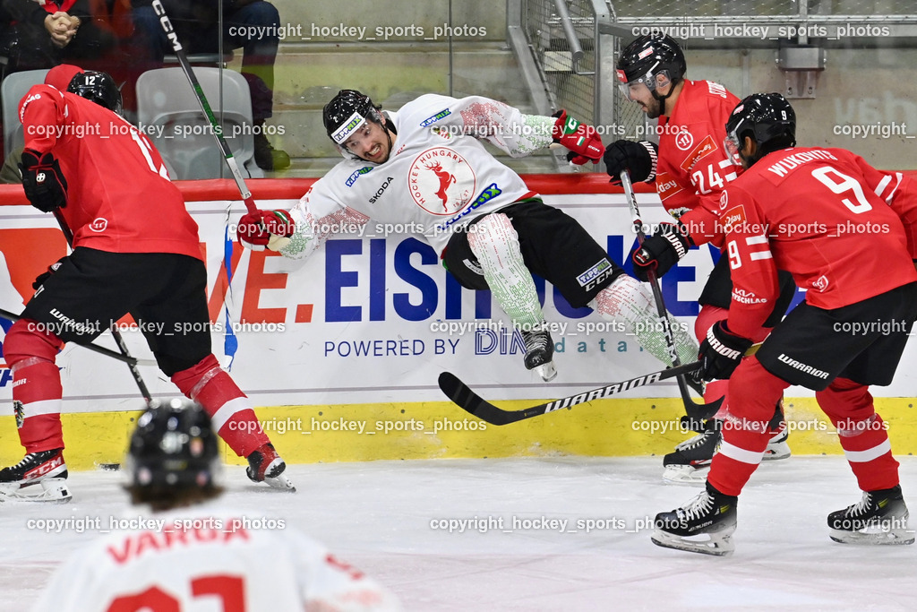 Österreich vs. Ungarn 14.12.2023 | Österreich vs. Ungarn 14.12.2023, Österreich vs. Ungarn  am 14.12.2023 in Klagenfurt (Heidi Horten Arena), Austria, (Photo by Bernd Stefan)