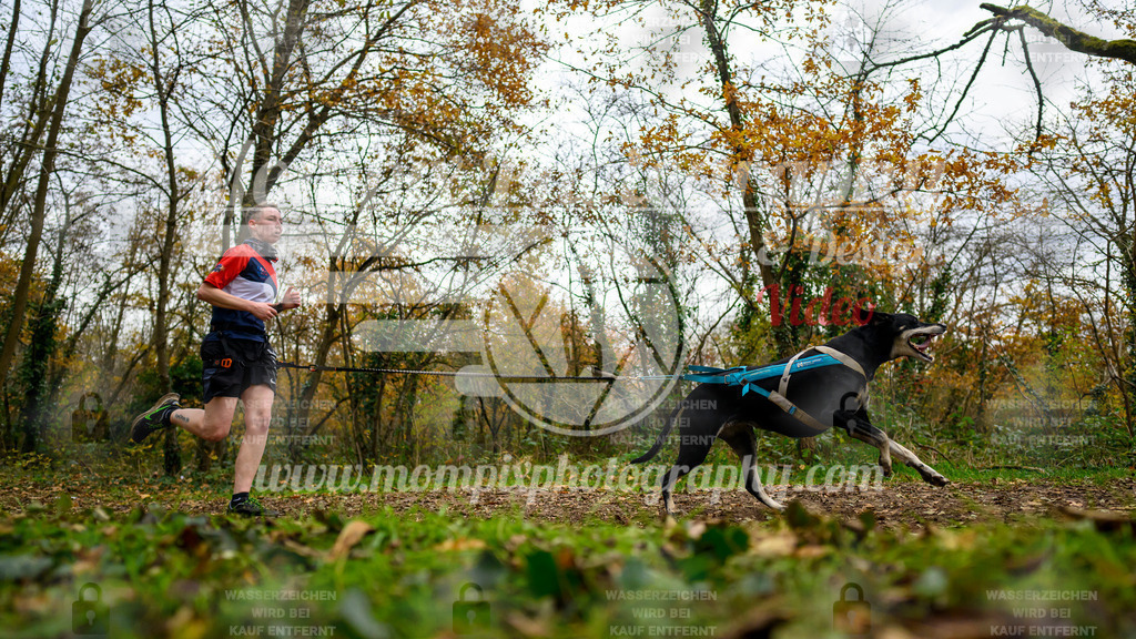 MompixPhotography_Bischwiller24_DI_CoursedeRelais-109 | PayLife