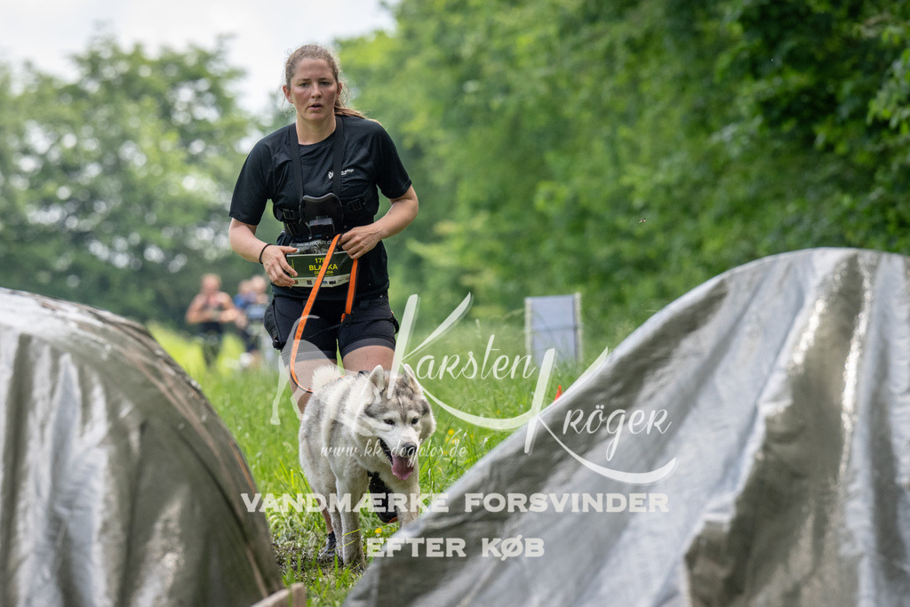 1137_ZZ93358 | kk-dogfotos