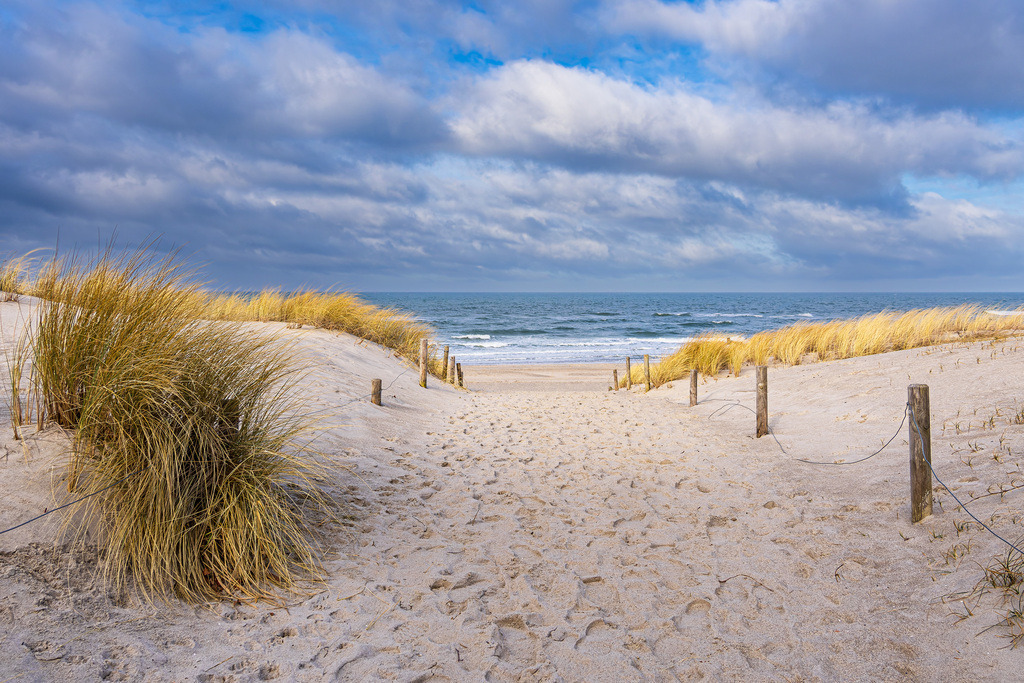 Strand an der Küste der Ostsee in Graal Müritz | Strand an der Küste der Ostsee in Graal Müritz.