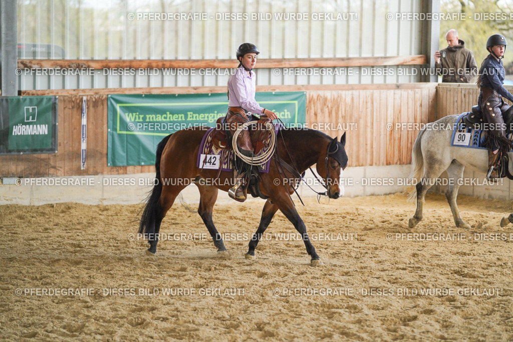 DSC08753 | Pferdegrafie