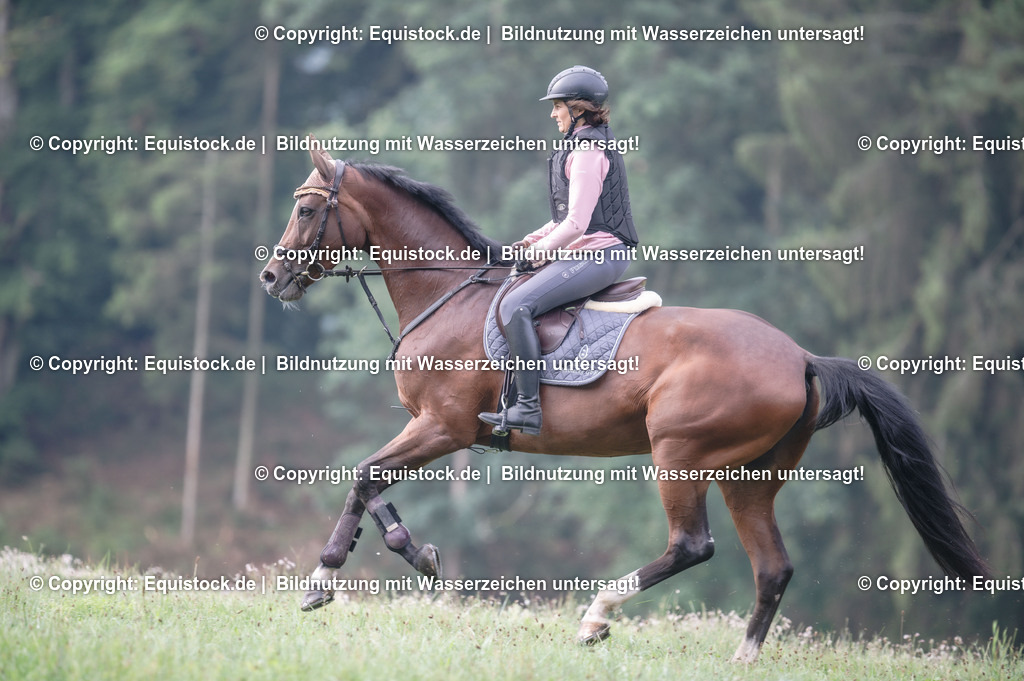 20250726_Vielseitigkeitslehrgang-Marbach_0030 | Foto: Thomas Hartig