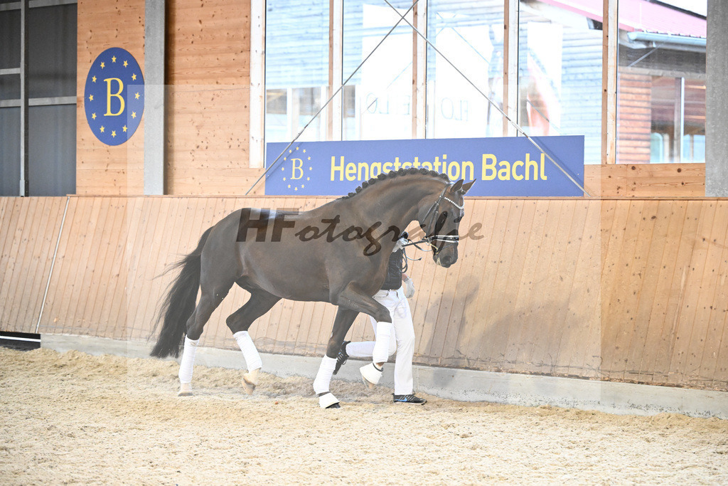 Floricello_7240702 | hf-fotografie - Realisiert mit Pictrs.com