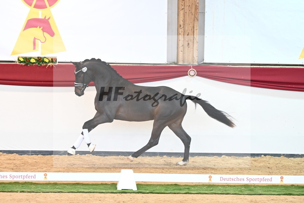 Kat.-Nr. 72 v. Va Bene_Bergmann_2240703 | hf-fotografie - Realizzato con Pictrs.com