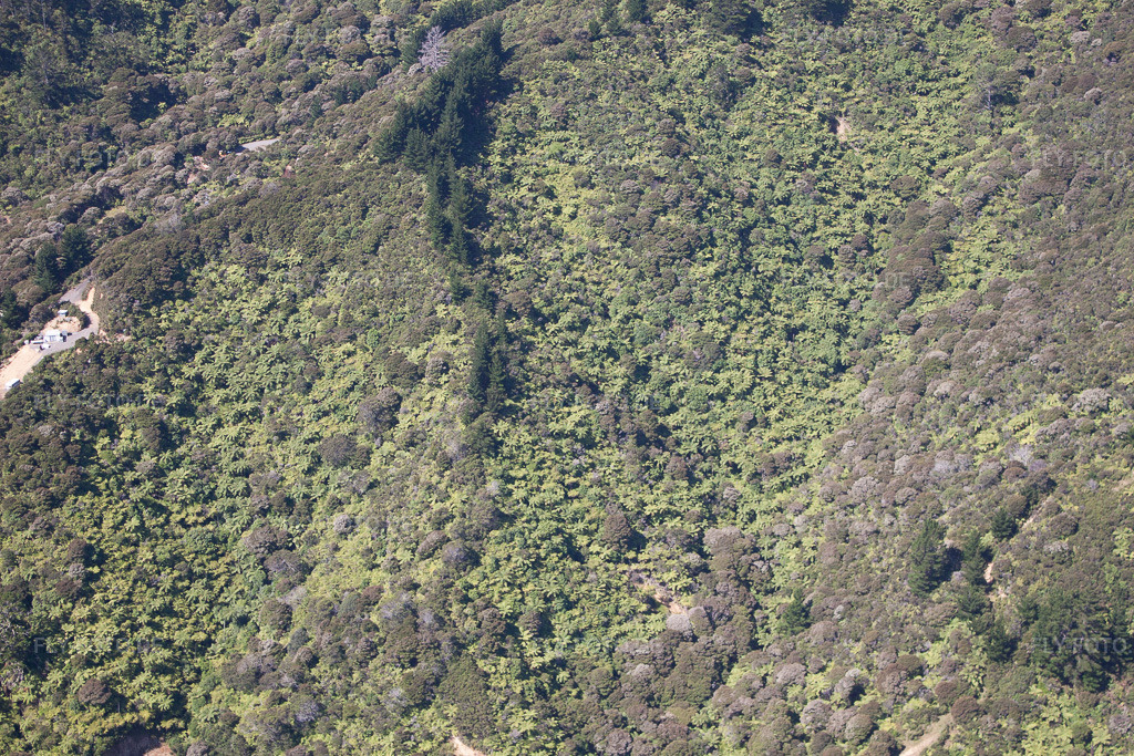 Luftbild: Ortsansicht in Coromandel im Bundesland Waikato in Neuseeland. Foto: IMG_55769.jpg vom 12.01.2013 durch Werner Riehm/FLY-FOTO.de