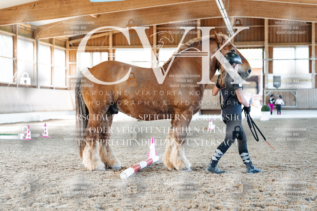 CK906354 | Turnierfotografie Pferdefotografie Trier Rheinland-Pfalz Pferdesport Reitsport Tierfotografie Sportfotografie Pferdevideo Pferdevideografie Equestrianvideography equestrianphotography  - Realisiert mit Pictrs.com