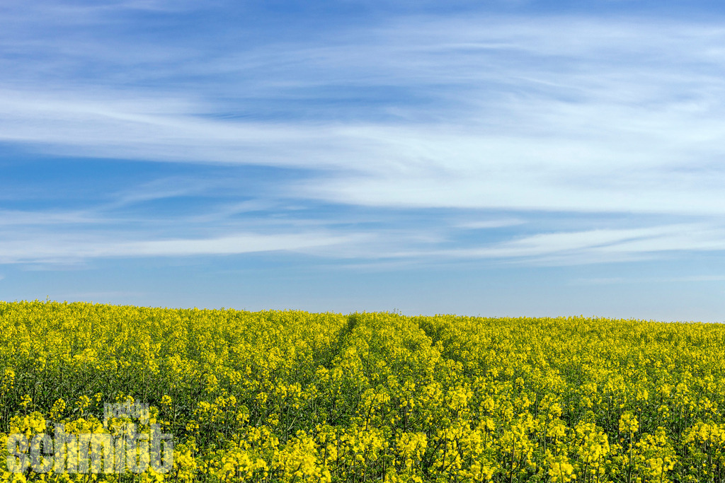 PS-Natur-2026-162 | Entdecke die größte Bildgalerie der Region mit Fotografien aus dem Allgäu, der Bodenseeregion, Oberschwaben, dem Donautal und der Schwäbischen Alb. Landschaften, Luftaufnahmen und Reisefotografie als Wandbild und Fotokunst. - Realisiert mit Pictrs.com