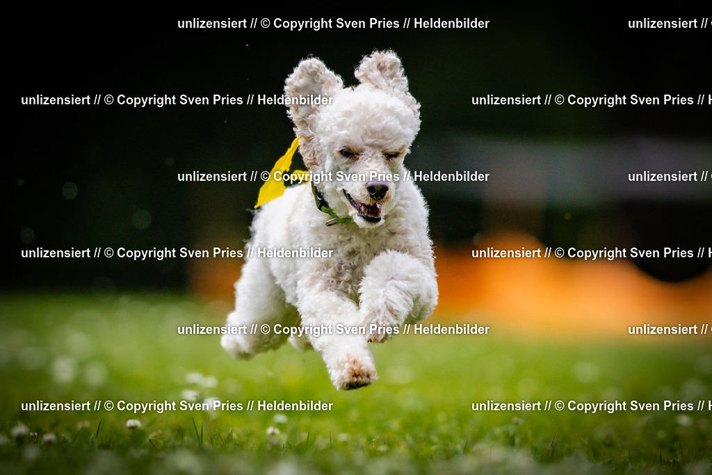 Sven Pries | 2025-05-29 - Pudelrennen KA-Durlach - Realisiert mit Pictrs.com