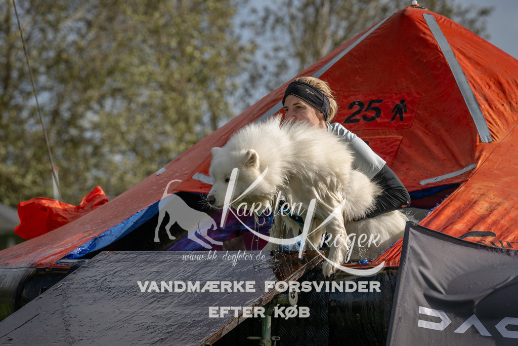 1211-92748 | kk-dogfotos