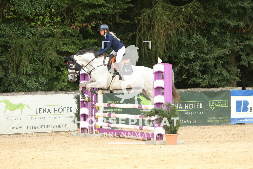 DL2Q6363 | Willkommen bei Brunnmayr - Design & Fotografie – Ihrem Spezialisten für Reitturniere und Pferdeveranstaltungen in Oberösterreich, Salzburg und Bayern! Seit über 17 Jahren sind wir leidenschaftlich dabei.